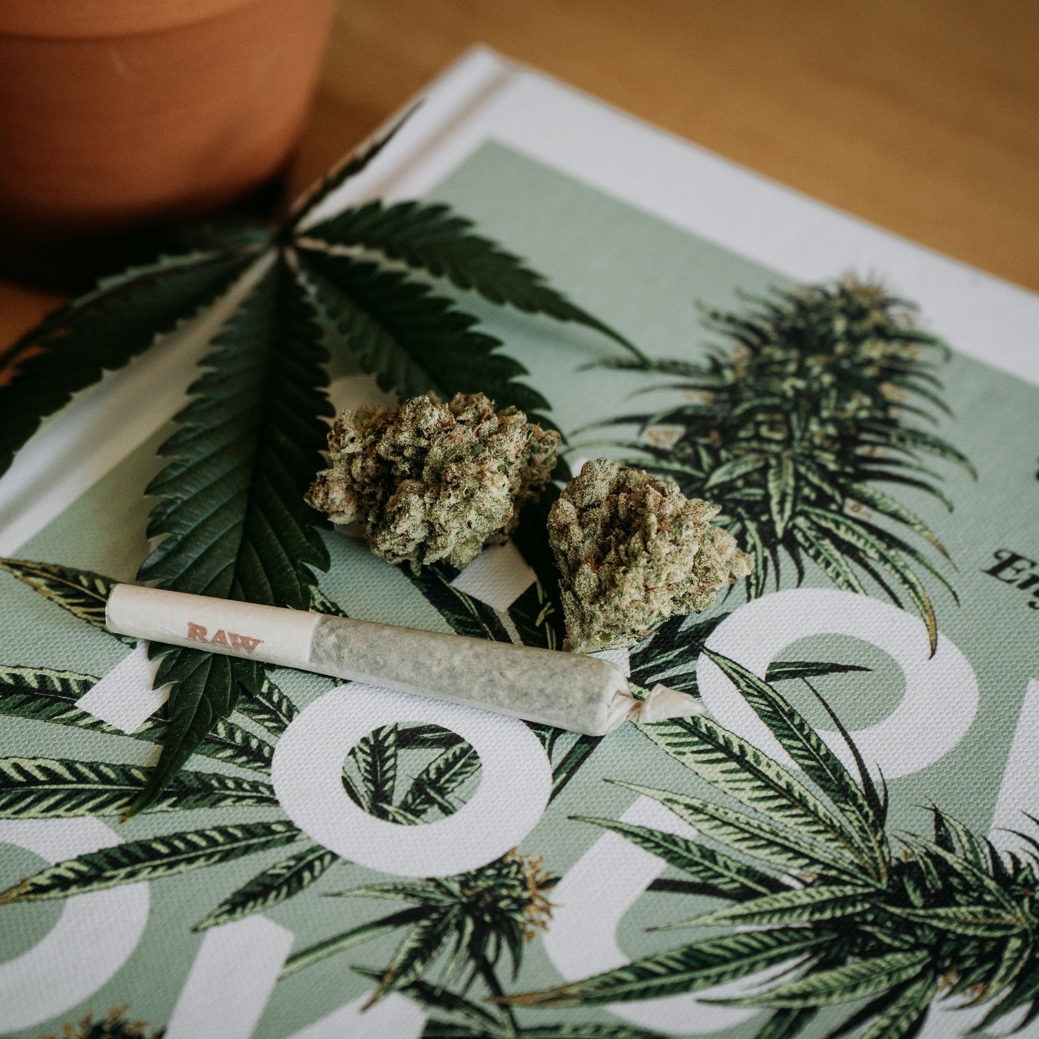 Letter to the Editor: Texas Has Basically Legalized Marijuana (by Texas Monthly)