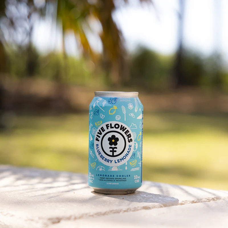 Blueberry Lemonade Cooler | 10mg THC & 10mg CBD
