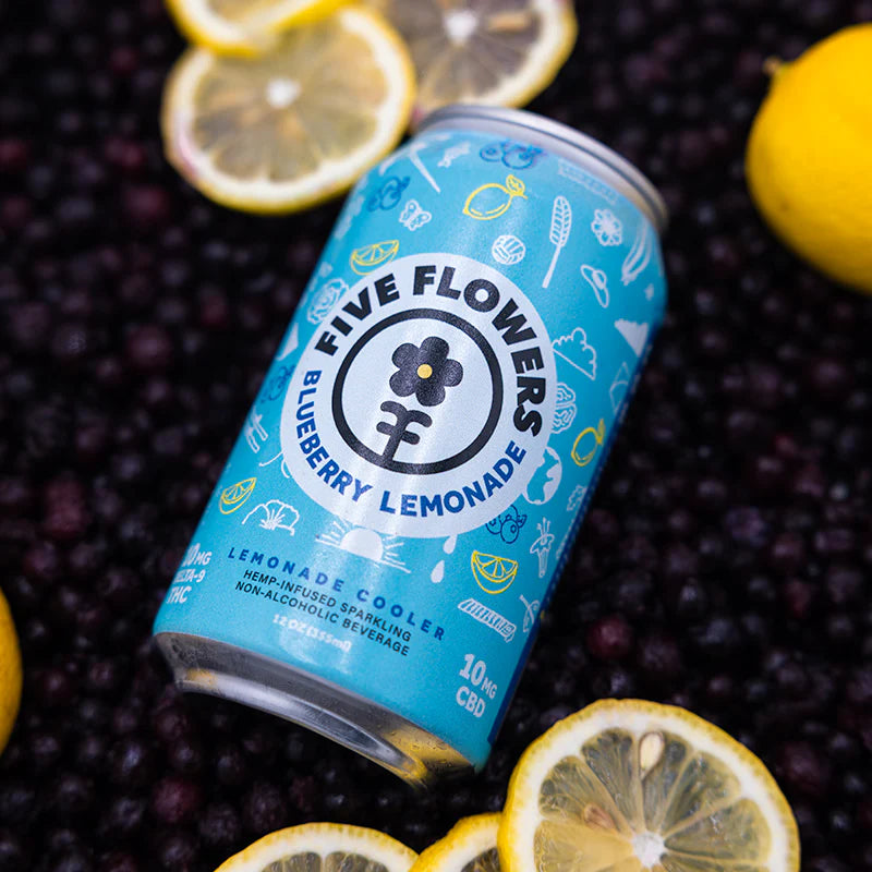 Blueberry Lemonade Cooler | 10mg THC & 10mg CBD