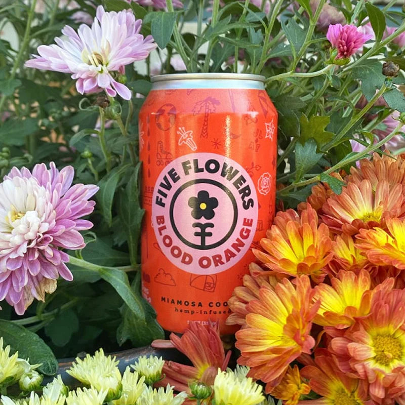 Blood Orange Miamosa Cooler | 5mg THC & 5mg CBD