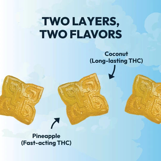 Double Take Gummies - Pineapple Coconut (Sativa)