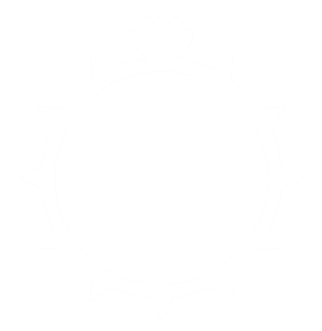 The Happy Cactus